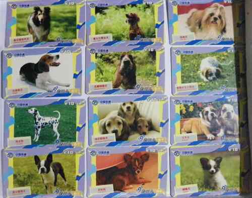 Tarjetas Telefonicas Colección Serie Animales Perros