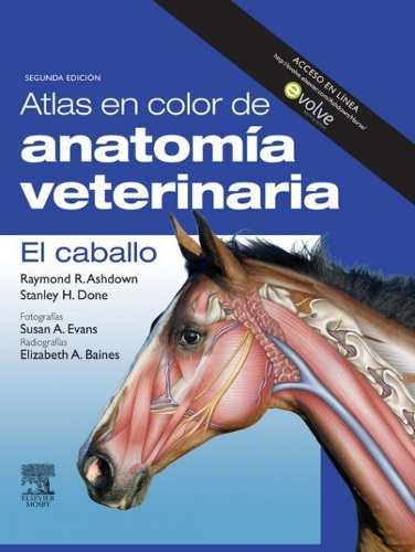 El Caballo Atlas De Anatomia Veterinaria Digital En Pdf