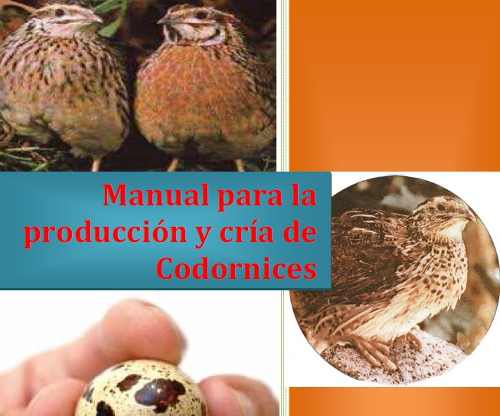 Manual Para Cria Y Producción De Codornices