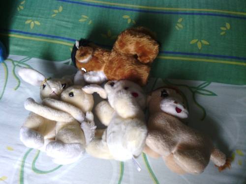 Remato Combo De 5 Peluches