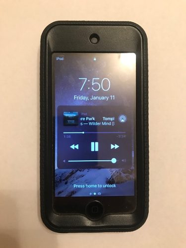 Apple 128gb Ipod Touch (6th Generation, Space Gray)
