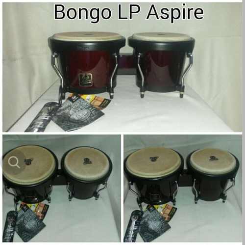 Bongo L.p Aspire Accents Totalmente Nuevo