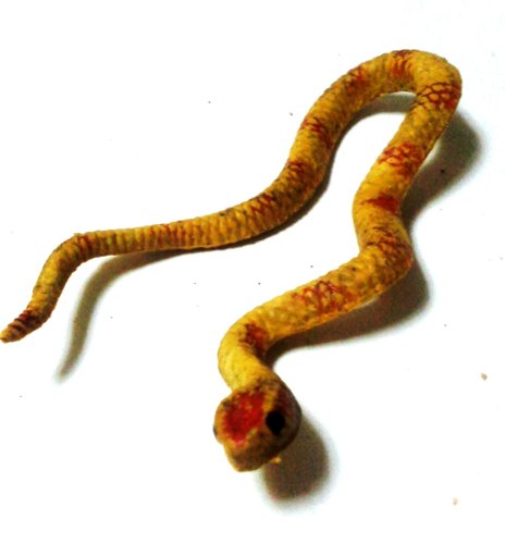 Juguete Figura Reptil Miniatura Serpiente Amarilla Y Roja