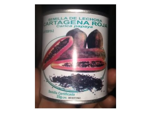 Semilla Certificada De Lechosa Cartagena Roja X 25 Grs