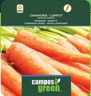 Semillas De Zanahoria Variedad Chantenay Royal 100g