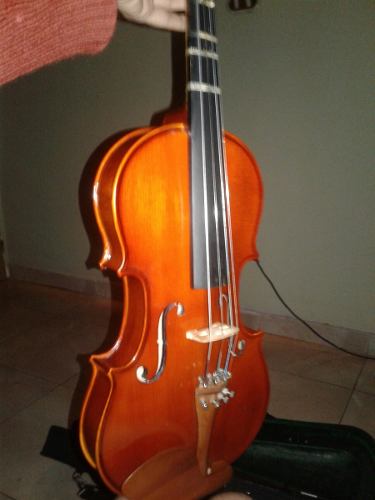 Violin 4/4 Acustico Con Perrubia