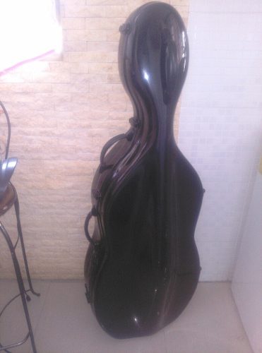 Violin Cello 4/4 Marca Locto