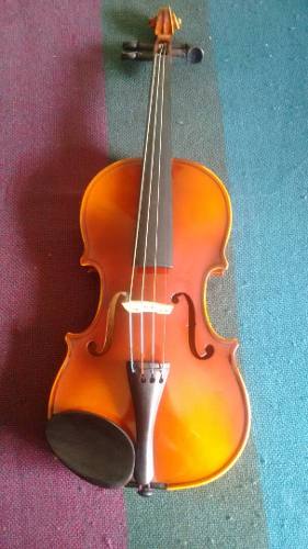 Violin Con Estuche Tapa Dura (antonius Stradivarius)