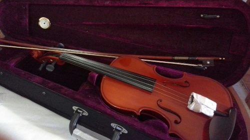 Violin Marca Praga