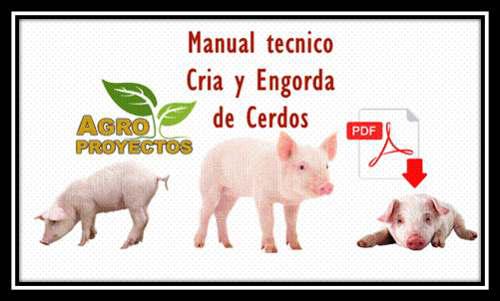 Manual Tecnico Cria Y Engorde De Cerdos + Premio