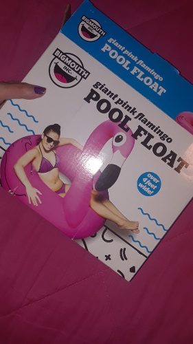 Flamingo Flotador (pool Float)