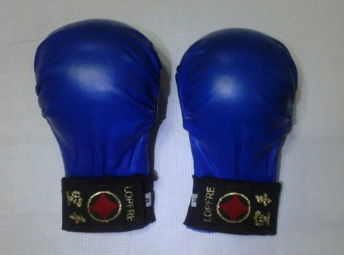 Guantes Lopfre Para Artes Marciales (azul)