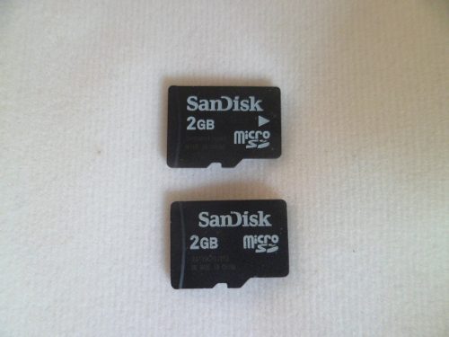 Remato 2 Memorias Micro Sd Sandisk 2 Gb