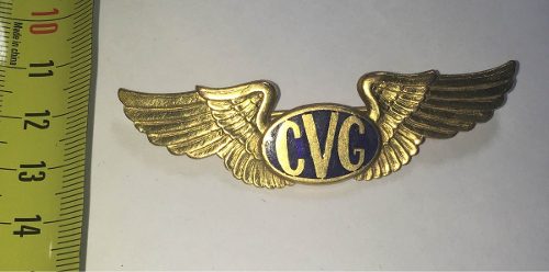 Insignia Alas De Aviación Capitan Cvg