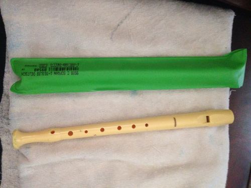 Flauta Hohner Original Con Su Estuche
