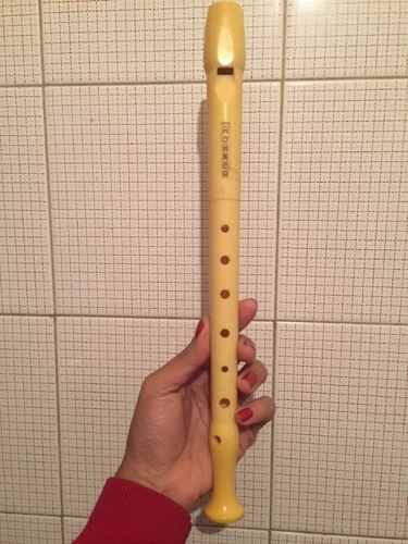 Flauta Marca Horner Usada