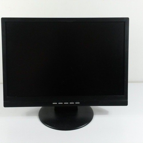 Monitor 19 Tft19w80ps