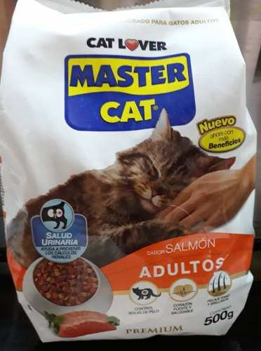 Gatarina Master Cat