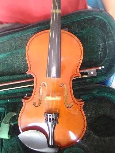 Violin Con Su Estuche