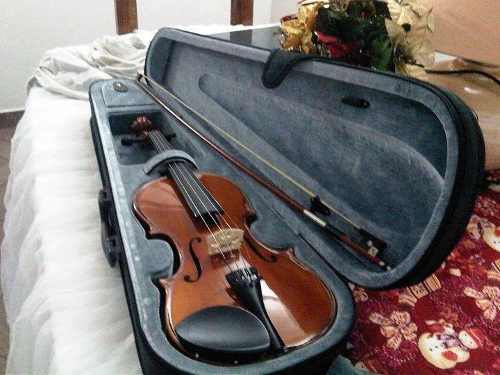 Violin Marca Stagg Original Poco Uso