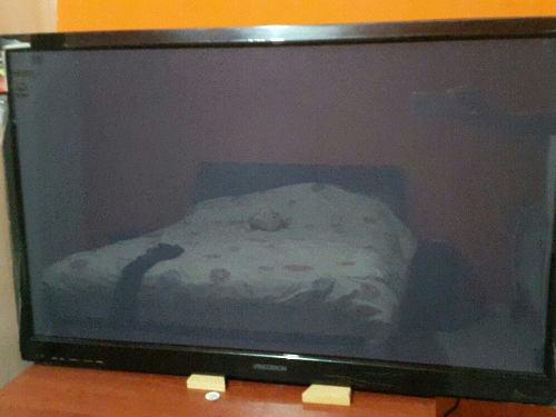 Tv Plasma 43 Full Hd Precision