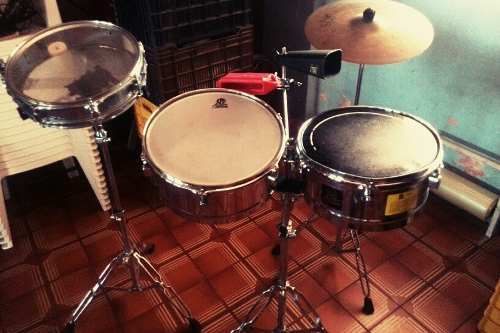 Timbal Lp