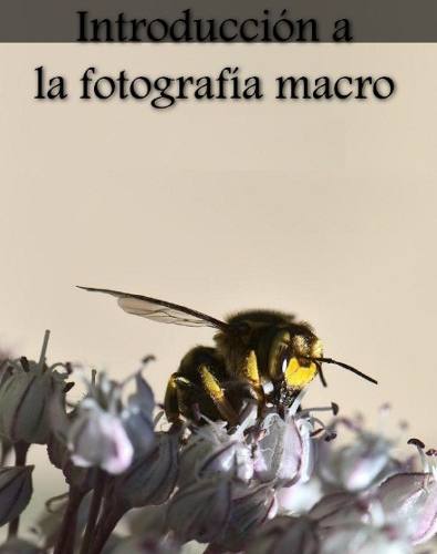 Introducción A La Fotografía Macro