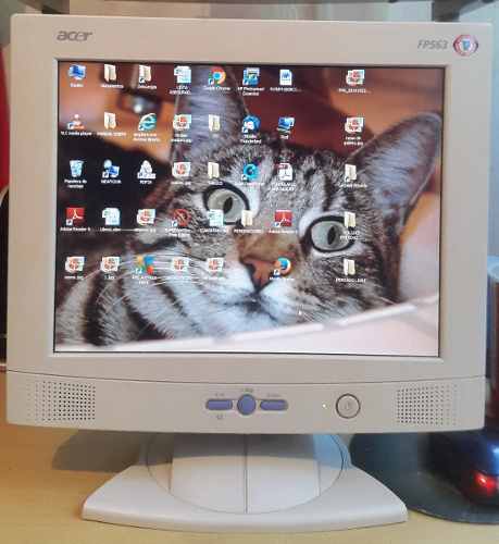 Monitor Acer Fp563 - Lcd Monitor - 15 Pulgadas Usado