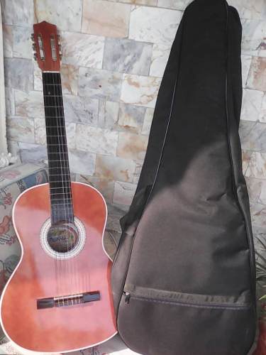 Guitarra Acustica, Con Forro Acolchado Casi Nueva, Poco Uso.