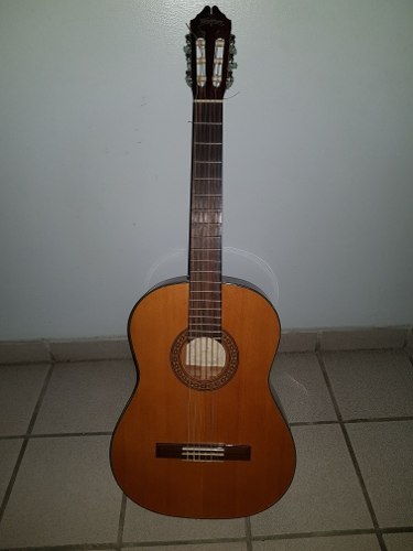 Guitarra Acustica Marca Washburn Mod C40