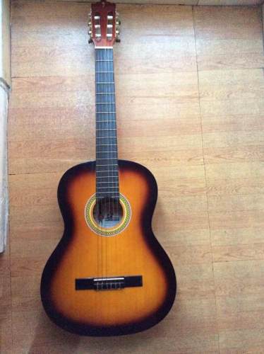 Guitarra Marca Palmer