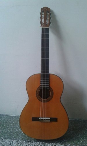 Oferta Guitarra Clásica Fender Fc110 Y Hardcase Remate Dtb