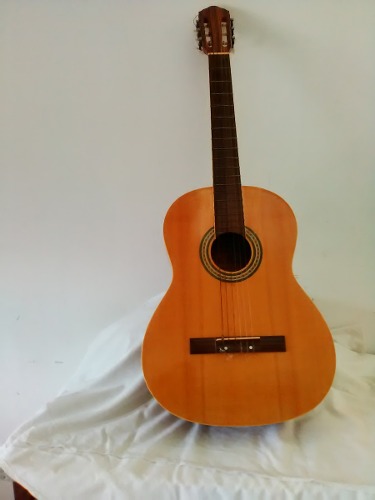 Se Vende Guitarra Acustica