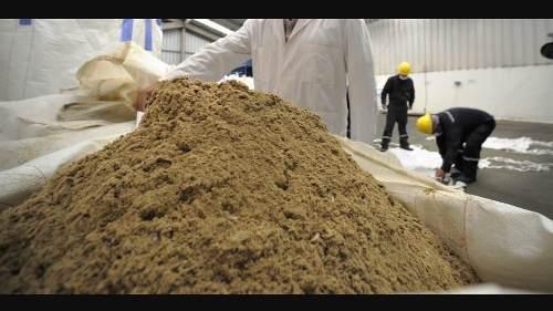 Venta De Alimentos Para Animales