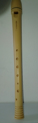 Flauta Honner Usada Made In Germany