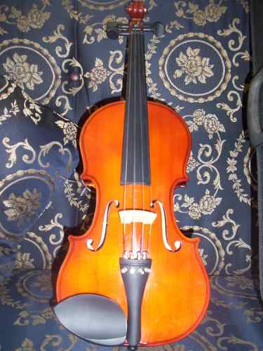 Violin 4/4 Casi Nuevo Buen Estado Con Estuche, Cd, Arco