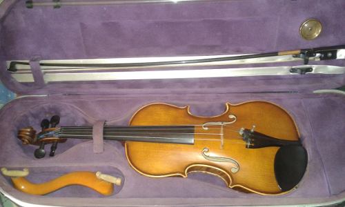 Violin 4/4 Profesional
