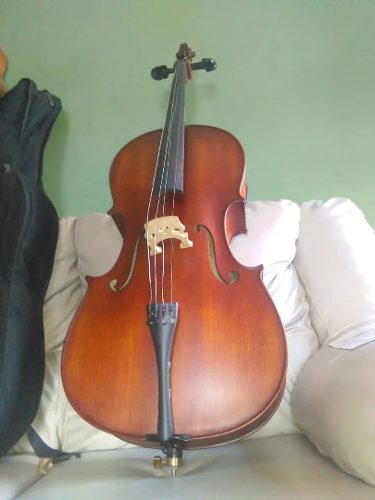 Violin Cello 3/4