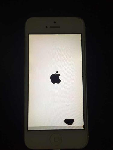 Iphone 5s Para Reparar O Repuestos