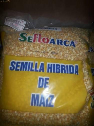 Semilla De Hibriba De Maiz Amarillo Dorado 5