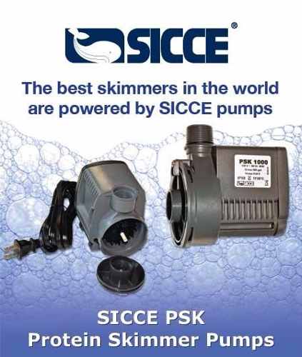 Sicce Syncra Bomba Para Protein Skimmer, Psk600