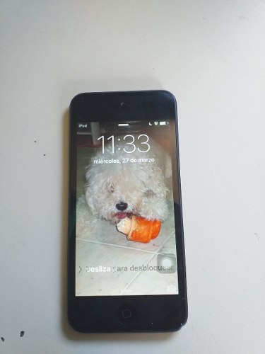 Ipod Touch 5ta Generacion 32 Gb