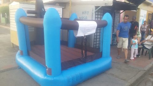 Castillo Inflable Con Regulador A 110