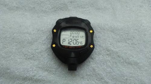Cronometro Profecional Casio Hs-80tw