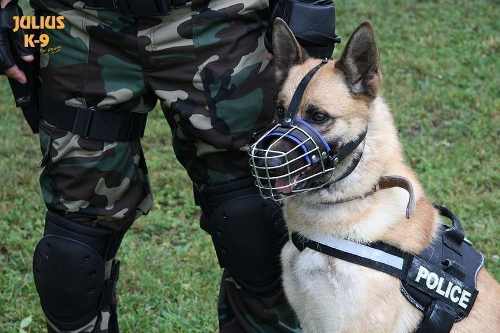 Julius K-9 Bozal Metal Perros Mali Macho