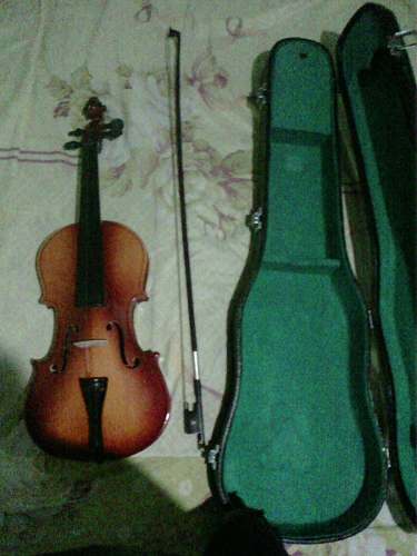 Violin Profesional 4/4 Blester Negociable