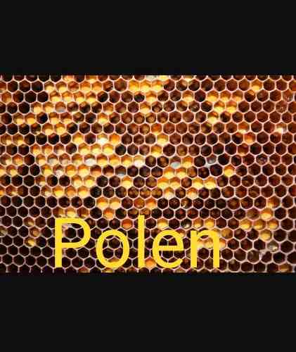 Polen De Abejas