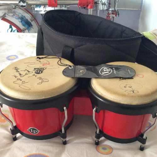 Bongo Lp Aspire Fiberglass Con Paral Dixon