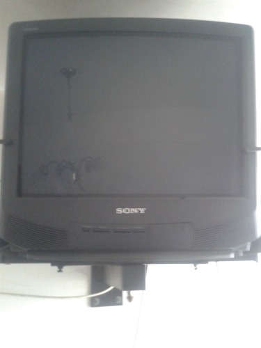 Televisor Sony 21 En Buen Estado