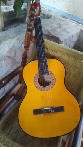 Guitarra Acustica Fretmastek